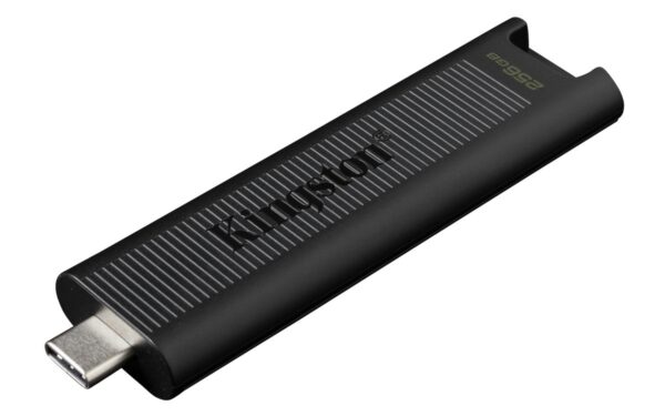Накопитель Kingston DataTraveler Max USB-C 256GB